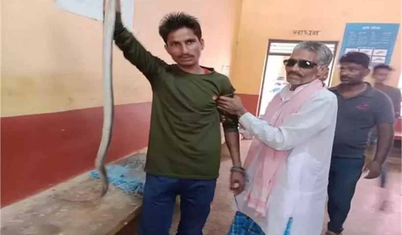 सांप को लेकर अस्पताल पहुंचा युवक तो मची अफरा-तफरी, डॉक्टर से बोला- ‘मुझे इसी सांप ने काटा है…’।